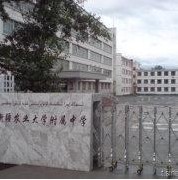 新疆农业大学附属中学